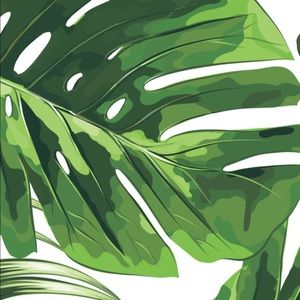 Meet your Posher, Laiken